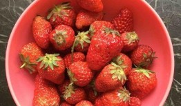 草莓果酱娱乐吃瓜