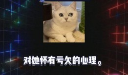吃瓜八卦娱乐圈视频,揭秘吃瓜视频背后的精彩瞬间