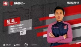 杨晨爆料视频大全下载安装,揭秘幕后真相，带你走进事件核心