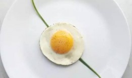 娱乐吃瓜酱荷包蛋,吃瓜酱带你领略美食与娱乐的完美融合