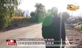 黑土地最新爆料,揭秘神秘事件背后的惊人真相