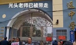 最新爆料致远中学事件视频,真相与争议交织