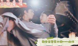 红蓝cp圈内人爆料是什么,圈内人爆料背后的故事