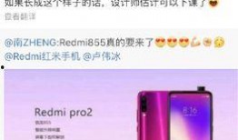 卢伟冰最新爆料了吗,揭秘手机行业新动态与未来趋势
