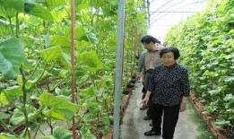 娱乐圈吃瓜超人是谁的小说,娱乐圈吃瓜超人的神秘爱情故事