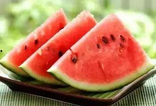 大娱乐吃瓜,大娱乐吃瓜，揭秘明星幕后故事