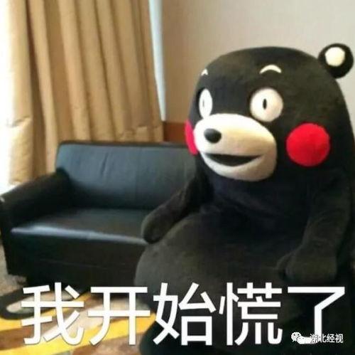 全娱乐圈偷听我心声吃瓜沙雕动画