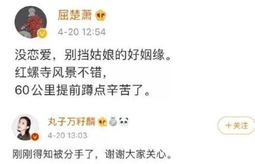 娱乐圈吃瓜爆料两个字