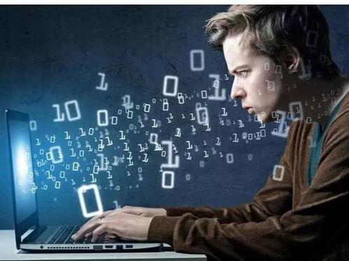 娱乐吃瓜酱程序员,揭秘编程界的趣味与智慧